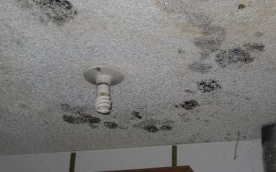 Black Spots On The Bathroom Ceiling