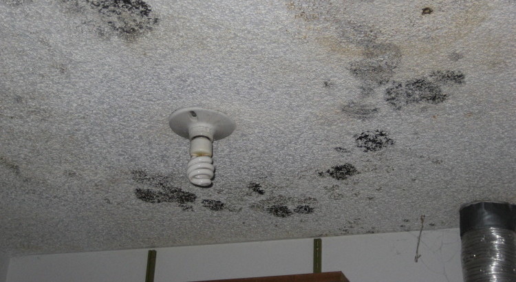 Black Spots On The Bathroom Ceiling Flood Water Damage Honolulu Oahu Hawaii Md Restoration - How To Remove Bathroom Ceiling Paint