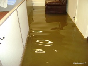 Things To Consider While Appointing A Hawaii Flood Damage Restoration Company