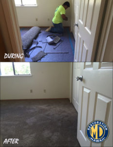During and After carpet install