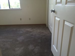 After Carpet Install
