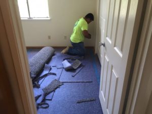 Installer Laying Carpet