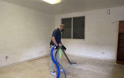 The Importance of Professional Carpet Cleaning Before the Holiday Season