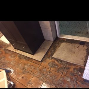 Flooring Damage