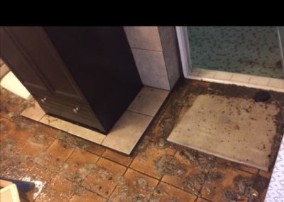 Flooring Damage