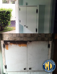 Before and After Cabinet Mold