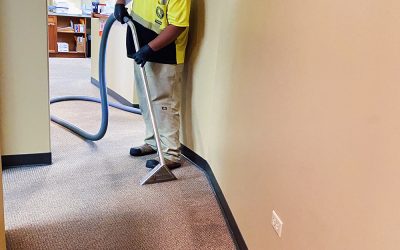 The Hidden Dangers of Mold After a Wet Winter in Hawaii