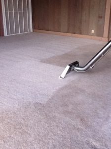 Cleaning Carpets