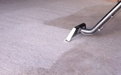When to Call a Professional for Water Damage in Honolulu