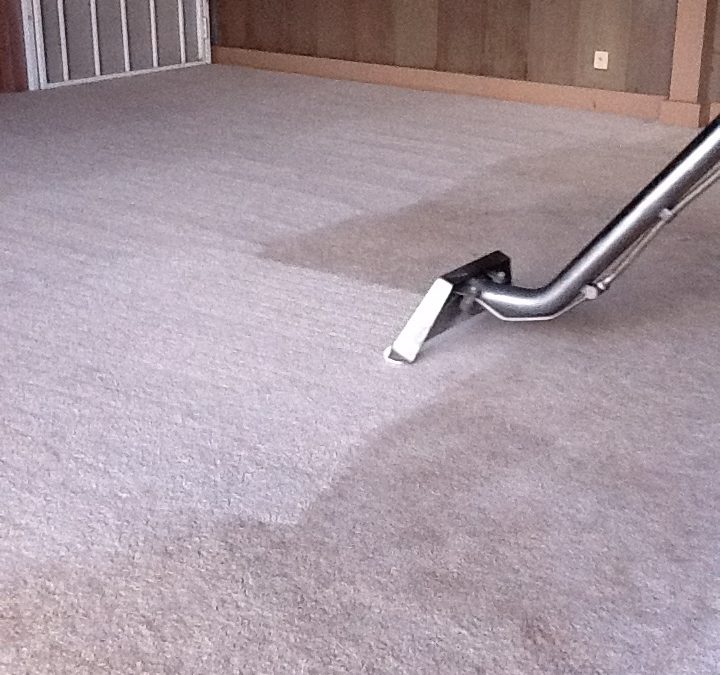 Cleaning Carpets