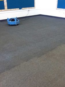Clean Carpet Drying