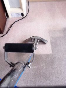 Carpet Cleaning
