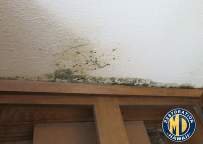 Mold in Asbestos