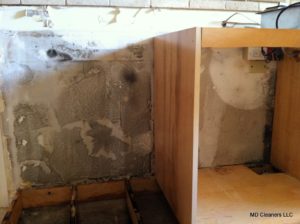 Mold Removal In Kitchen