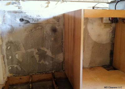 Mold Removal In Kitchen