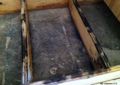 Mold Removal on Wood