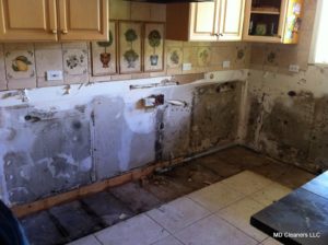 Mold behind Kitchen Cabinets