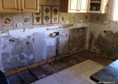 Mold behind Kitchen Cabinets