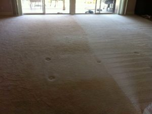 1/2 room cleaned