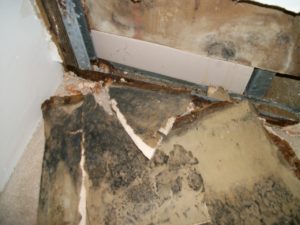 Water Damage