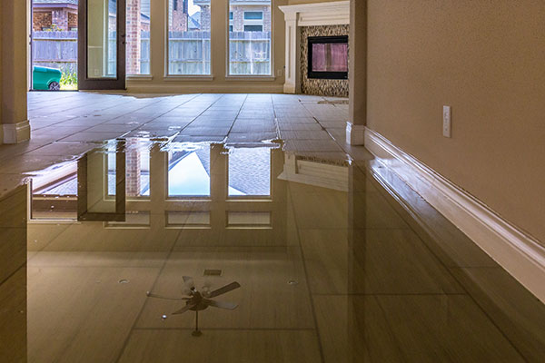 Water Damage Restoration: Quick Response for Honolulu Homes and Businesses