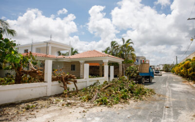 Hurricane Season in Honolulu: What to Do After a Storm