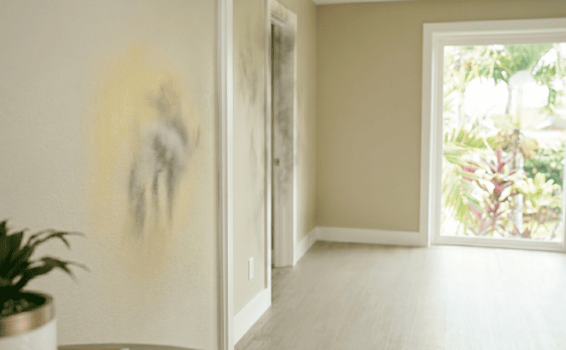 Smoke Odor Removal in Honolulu What Actually Works and Why It Matters