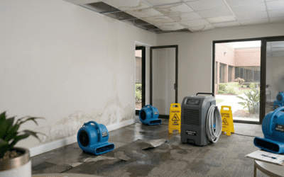 Commercial Water Damage Restoration in Honolulu: What Business Owners Need to Know