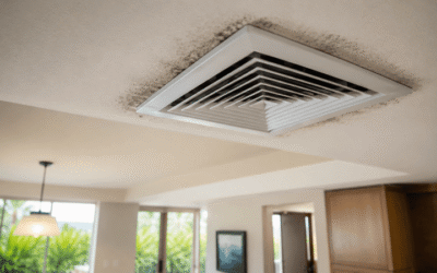 Summer Humidity and AC Systems: A Hidden Mold Risk in Honolulu Homes