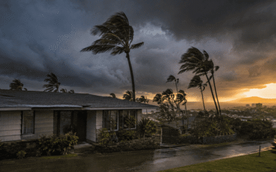 Hurricane Season in Honolulu: How to Protect Your Home From Water Damage Before the Storm Hits