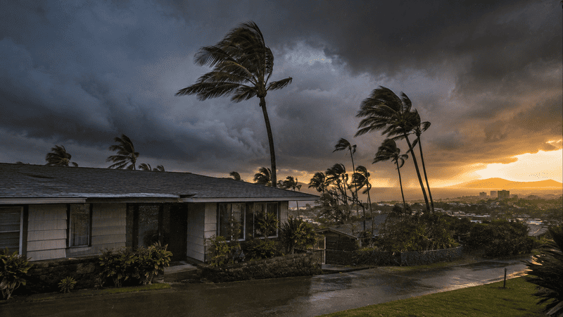 Hurricane Season in Honolulu How to Protect Your Home From Water Damage Before the Storm Hits