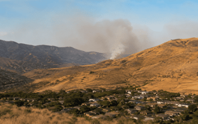 Wildfire and Brush Fire Season on Oahu: What Honolulu Homeowners Should Know