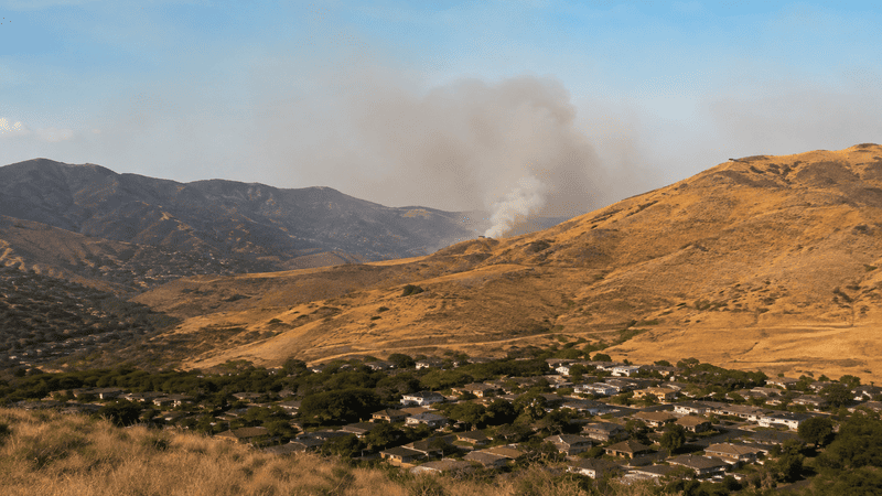 Wildfire and Brush Fire Season on Oahu What Honolulu Homeowners Should Know